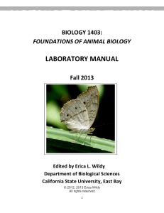 laboratory manual - learning is wild!