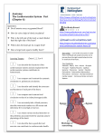 Anatomy: The Cardiovascular System Part (Chapter 6)