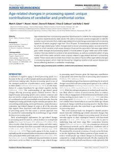 Age-related changes in processing speed: unique contributions of