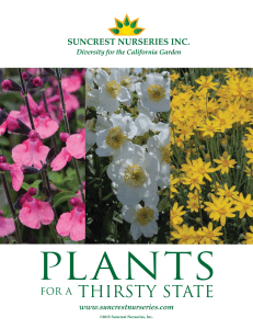 here - Suncrest Nurseries, Inc.