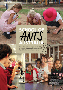 SCHOOL OF ANTS AUSTRALIA