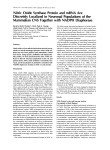 Nitric Oxide Synthase Protein and mRNA Are