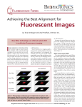 Achieving the Best Alignment for Fluorescent Images