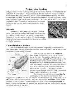 Prokaryotes Reading