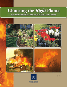 Choosing the Right Plants - University of Nevada Cooperative