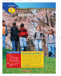 Chapter 5: Heredity