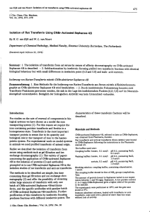 Isolation of Rat Transferrin Using CNBr-Activated