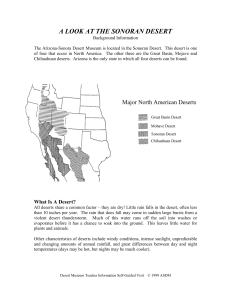 A Look at the Sonoran Desert - Arizona