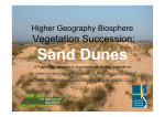Vegetation succession: sand dunes