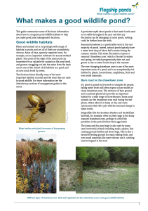 What makes a good wildlife pond?