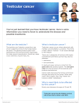 Testicular cancer - Centre hospitalier de l`Université de Montréal