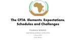 Overview of the CFTA - CSOs Consultations in Accra - twn