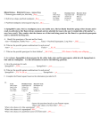 Bikini Bottom Dihybrid Crosses Answer Key