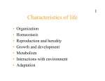 Characteristics of life