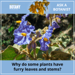 Posters - Ask a Botanist