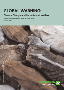 Global warning full report - Compassion in World Farming