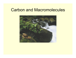 Carbon and Macromolecules