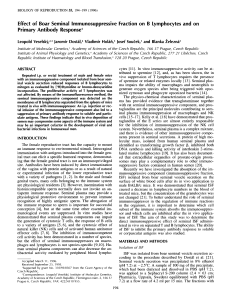 Effect of Boar Seminal Immunosuppressive Fraction on B