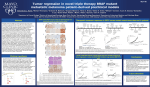 Tumor Regression in Novel Triple Therapy BRAF Mutant Metastatic