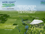 OPPORTUNITIES TO TURN THE WHEATBELT INTO THE FOODBELT