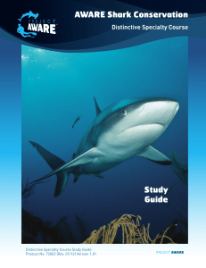 AWARE Shark Conservation Study Guide