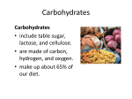 Carbohydrates