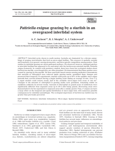 Patiriella exigua: grazing by a starfish in an overgrazed intertidal