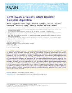 Cerebrovascular lesions induce transient b