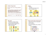 Cellular Respiration 3 Parts Glycolysis Kreb`s Cycle