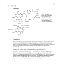 16 E. Folic Acid 1. Chemistry coenzyme DHFA DHFA reductase