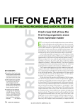 Origin of Life on Earth - Department of Molecular and Cellular Biology