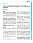 Evidence for a plasma-accessible carbonic anhydrase in the lumen