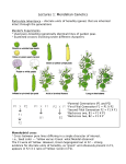 Lectures 1: Mendelian Genetics