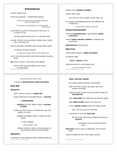 Echinoderm s - Austin Community College