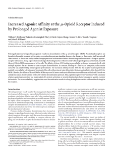 Increased Agonist Affinity at the