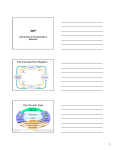 GDP The Circular-Flow Diagram The Circular Flow