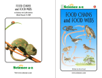 FOOD CHAINS and FOOD WEBS