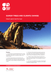 Quiver TreeS and ClimaTe Change