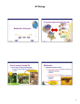 AP Biology - TeacherWeb
