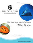 Third Grade - Maui Ocean Center