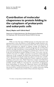 Contribution of molecular chaperones to protein folding in the