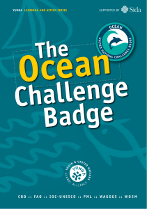 The Ocean Challenge Badge - Food and Agriculture Organization of