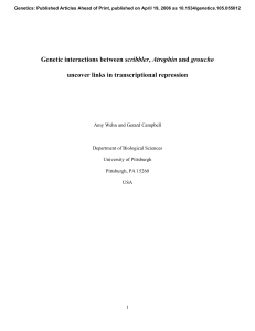 Genetic interactions between scribbler, Atrophin and