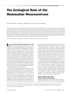 The Ecological Role of the Mammalian Mesocarnivore