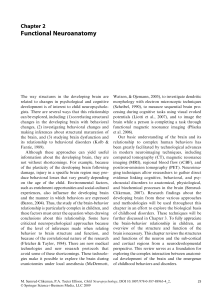 Chapter 2 Functional Neuroanatomy