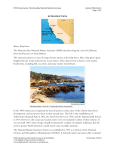 Kelp Forest The Monterey Bay National Marine Sanctuary
