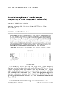 Sexual dimorphism of cranial suture complexity in wild sheep (Ovis