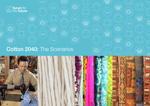 Cotton 2040: The Scenarios