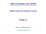 Basics of Light Microscopy