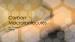 Carbon Macromolecules